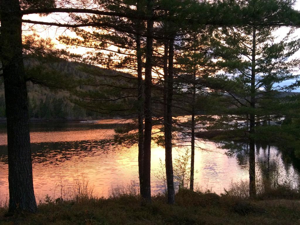 Auberge La Taniere Tadoussac Buitenkant foto